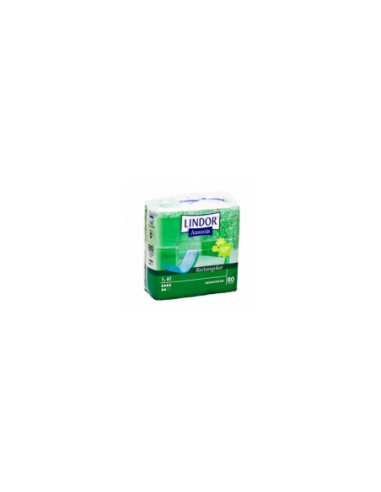 Lindor Ausonia Anat Dia 80 Uni
