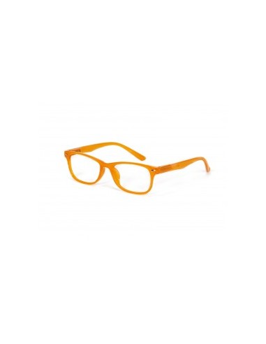 Gafas Salamandra Orange +1.00 Dp